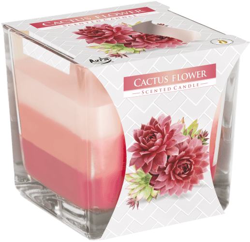 Rainbow Jar Candle - Cactus flower