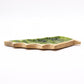 Lost in the Forrest -  Enamel Leaf Wooden Bowl - 33x17cm
